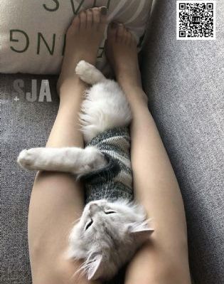 铁齿铜牙纪晓岚第三部免费观看_超清高清完整版播放