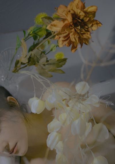 豪放的女大兵在线观看_1080在线手机播放